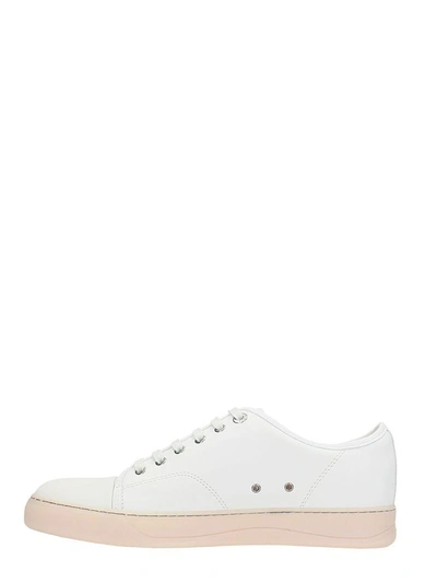 Shop Lanvin White Low Sneakers