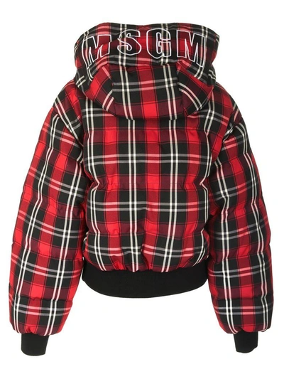Shop Msgm Checked Padded Jacket