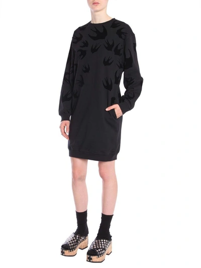 Shop Mcq By Alexander Mcqueen Cotton Sweatshirt Dress In Nero