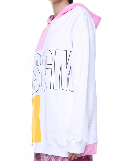 Shop Msgm Logo-print Colorblock Cotton Hoodie In Rosa