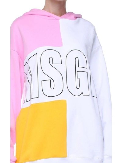 Shop Msgm Logo-print Colorblock Cotton Hoodie In Rosa