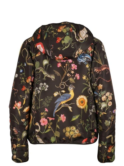 Shop Red Valentino Birds Print Hooded Jacket In 0no