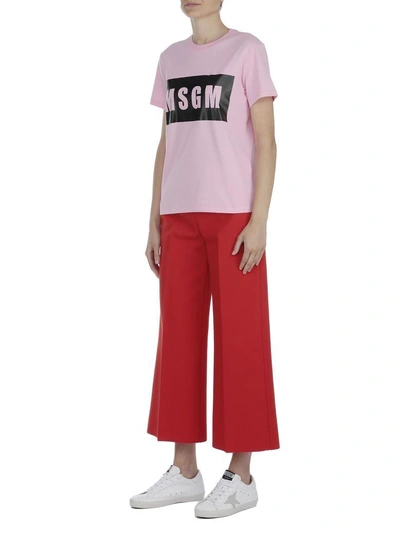 Shop Msgm Cotton T-shirt In Pink