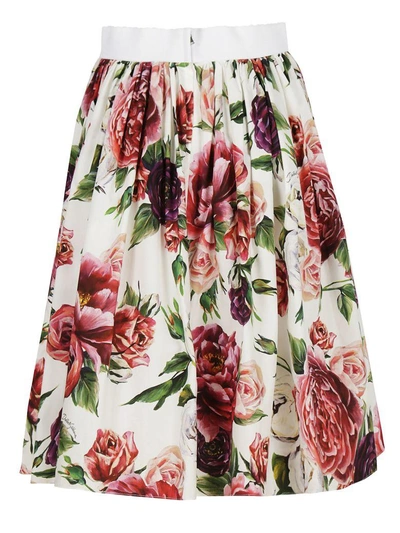 Shop Dolce & Gabbana Peony Print Skirt