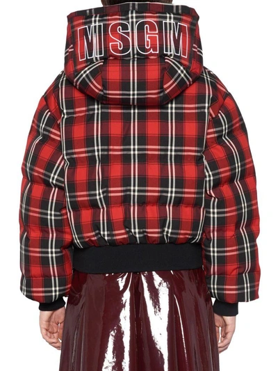 Shop Msgm Jacket In Multicolor