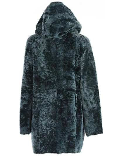 Shop Drome Montone Hooded Coat In Green