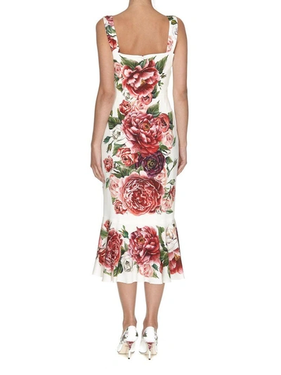 Shop Dolce & Gabbana Peonies Print Dress In Peonie Fdo Panna