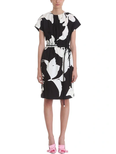 Shop Marc Jacobs Flower Print Belt Dress In Black