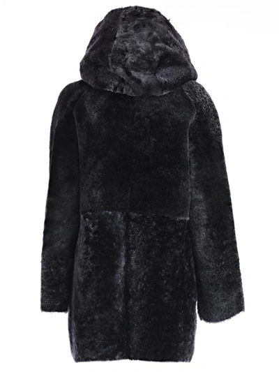 Shop Drome Montone Hooded Coat In Black