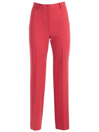 Shop Hache Classic Trousers In Red
