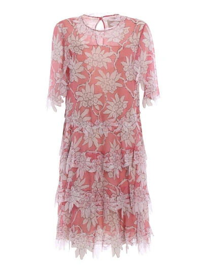 Shop Valentino Floral Dress In Icandy