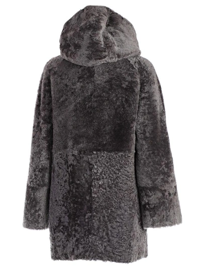 Shop Drome Montone Hooded Coat In Grey
