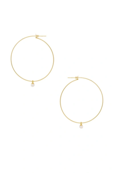 Shop Natalie B Jewelry Heavenly Hoop Earrings In Metallic Gold
