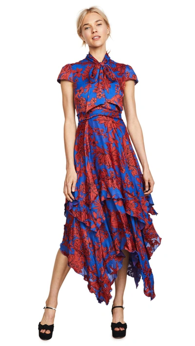 Shop Alice And Olivia Ilia Ruffle Dress In Fancy Floral