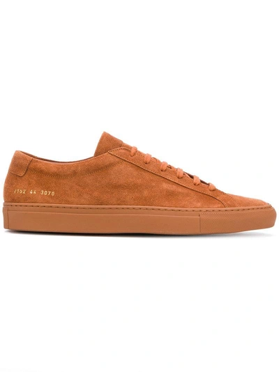 Shop Common Projects Achilles Low Sneakers - Brown