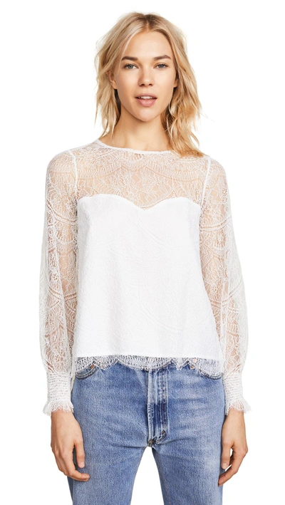 Shop Cupcakes And Cashmere Jenevra Lace Blouse In Ivory