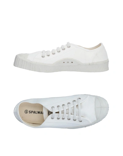 Shop Spalwart Sneakers In White