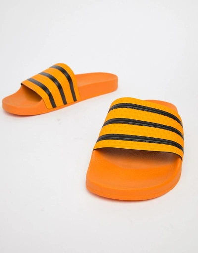 Shop Adidas Originals Adilette Sliders In Yellow Cq3099 - Yellow