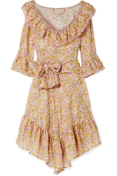 Shop Lisa Marie Fernandez Laura Ruffled Floral-print Cotton-voile Dress In Pink