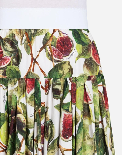 Shop Dolce & Gabbana Printed Cotton Skirt In Multicolor