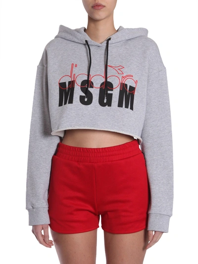 Shop Msgm Hooded Cropped Sweatshirt In Grey