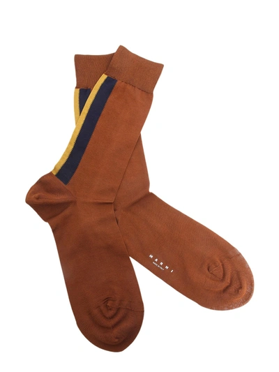 Shop Marni Socks With Two Coloured Bands In Brown