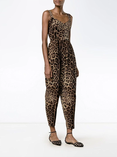Shop Dolce & Gabbana Leopard Print Jumpsuit - Brown