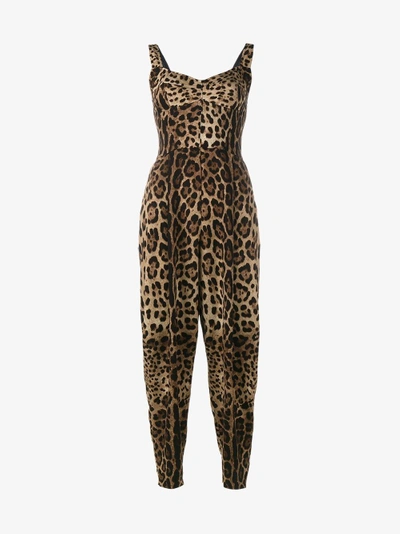 Shop Dolce & Gabbana Leopard Print Jumpsuit In Brown