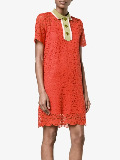 Shop Jour/né Collared Lace Mini Dress In Yellow/orange