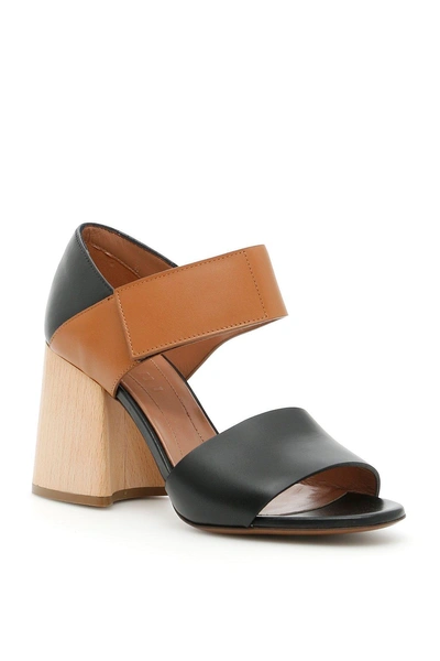 Shop Marni Bi Colour Block Heel Sandals In Black/marron/amber