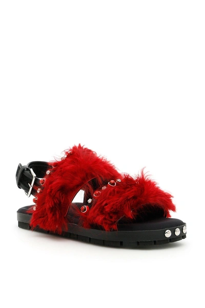 Shop Marni Embellished Fur Sandals In Red