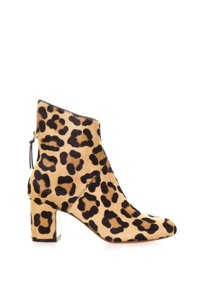 Shop Francesco Russo Leopard Ankle Boots In Multi
