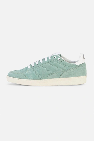 Shop Ami Alexandre Mattiussi Thin Laced Low Trainers In Green