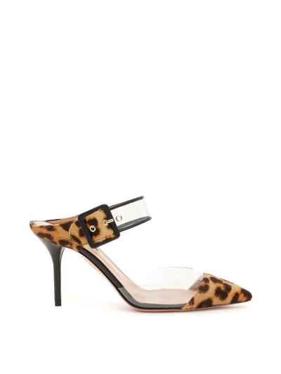 Shop Aquazzura Pony And Plexi Optic 85 Mules In Caramel Leo|marrone