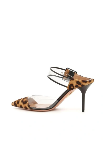 Shop Aquazzura Pony And Plexi Optic 85 Mules In Caramel Leo|marrone