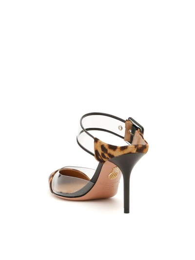 Shop Aquazzura Pony And Plexi Optic 85 Mules In Caramel Leo|marrone