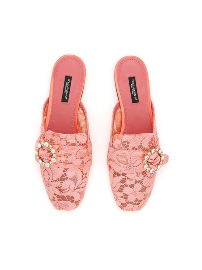 Shop Dolce & Gabbana Lace Jackie Slippers In Peonia (pink)