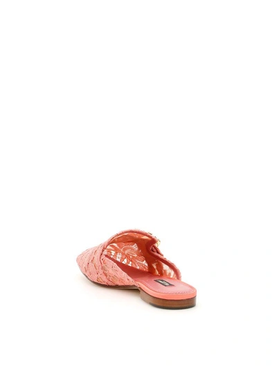 Shop Dolce & Gabbana Lace Jackie Slippers In Peonia (pink)