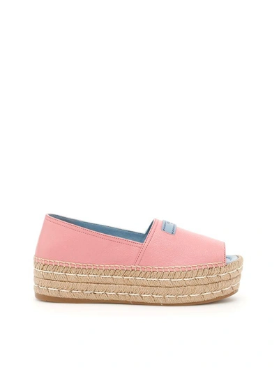 Shop Prada Calfskin Espadrilles In Begonia|rosa