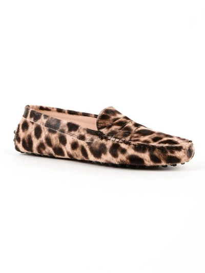 Shop Tod's Animal Print Gommino Loafers In Mpelle