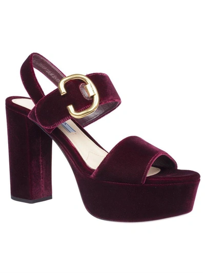 Shop Prada Chunky Heel Sandals In Bordeaux