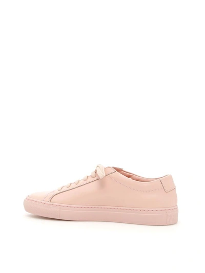 Shop Common Projects Original Achilles Low Sneakers In Blush (pink)