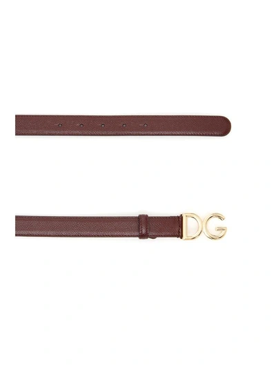 Shop Dolce & Gabbana Dg Logo Belt In Vino|rosso