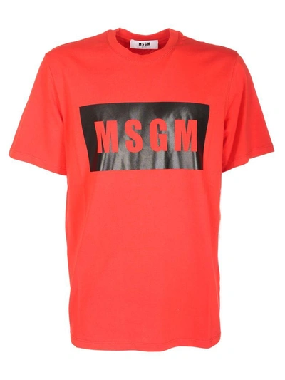 Shop Msgm Logo T-shirt