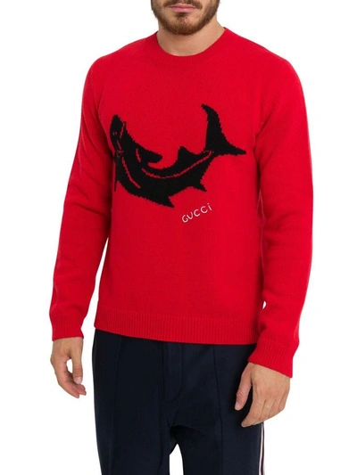 Shop Gucci Pull With Shark Intarsia In Rosso