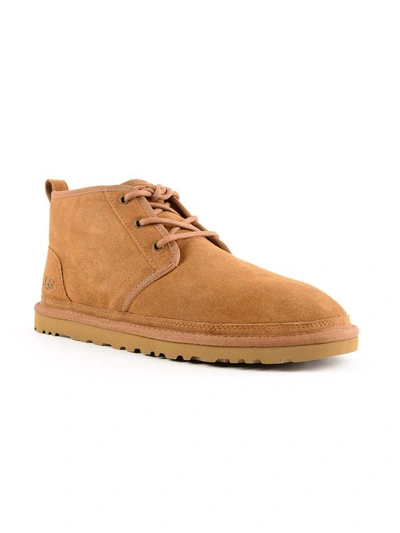 Shop Ugg Lace Up Boots In Chestnut