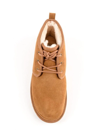 Shop Ugg Lace Up Boots In Chestnut
