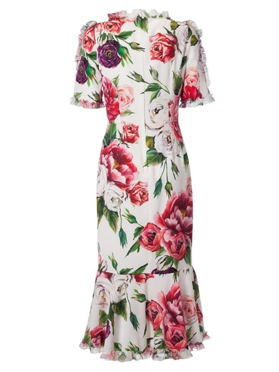 Shop Dolce & Gabbana Peony Print Dress In Peonie Fdo Panna