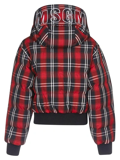 Shop Msgm Check Bomber In Rosso