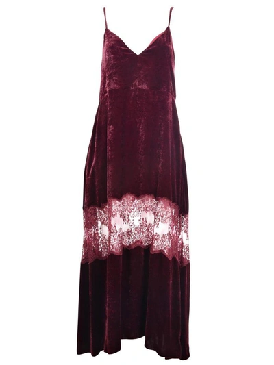 Shop Stella Mccartney Lace Panel Slip Dress In Burgundy